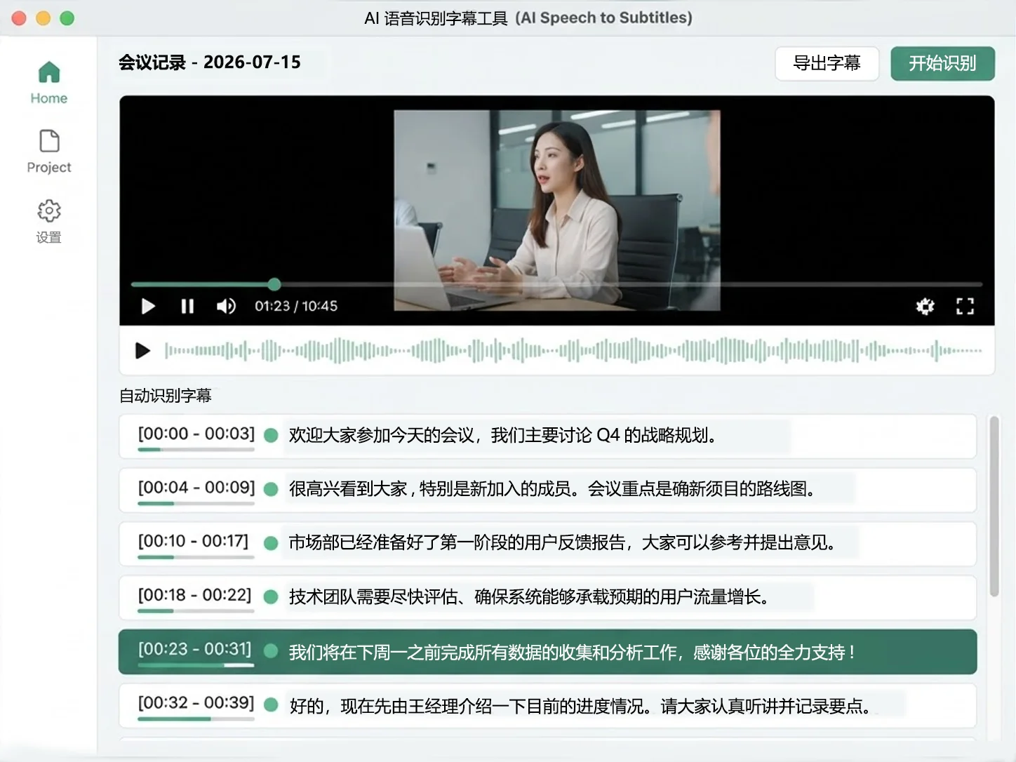 仅字幕识别界面